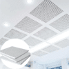 Perforated Aluminum Clip-in Ceiling Tiles