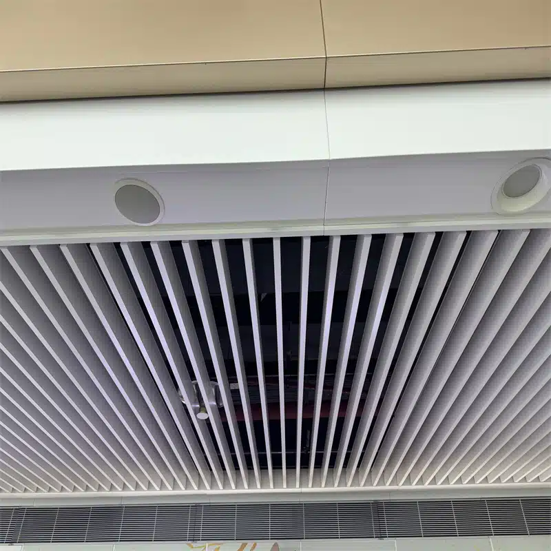 Soluzioni per soffitti in alluminio metallico dell'aeroporto
