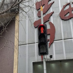 Personalized Exterior Aluminum Perforated Wall