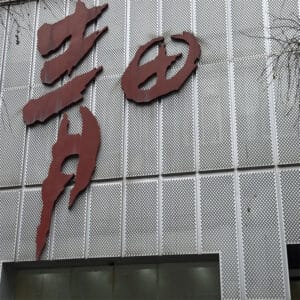 Visually Impactful Exterior Aluminum Perforated Wall