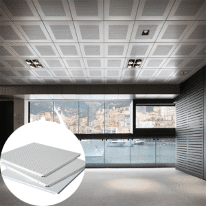 Reception Room Acoustic Metal Clip-in Ceiling